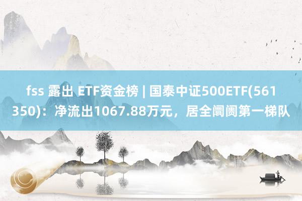 fss 露出 ETF资金榜 | 国泰中证500ETF(561350)：净流出1067.88万元，居全阛阓第一梯队