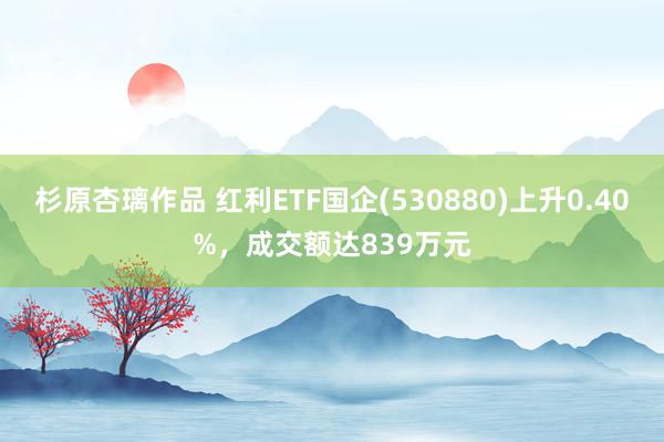杉原杏璃作品 红利ETF国企(530880)上升0.40%，成交额达839万元