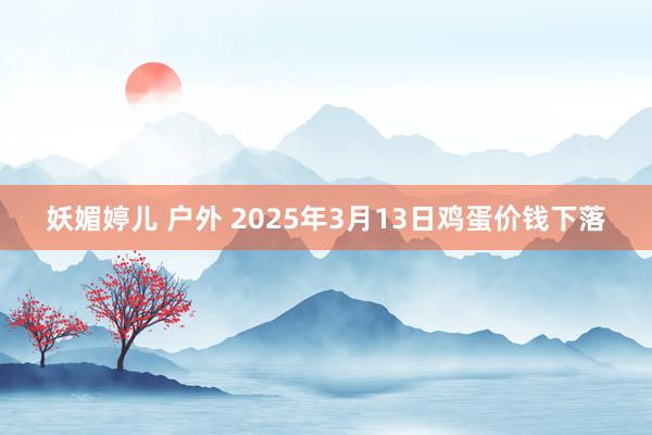 妖媚婷儿 户外 2025年3月13日鸡蛋价钱下落