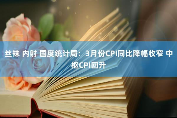 丝袜 内射 国度统计局：3月份CPI同比降幅收窄 中枢CPI回升