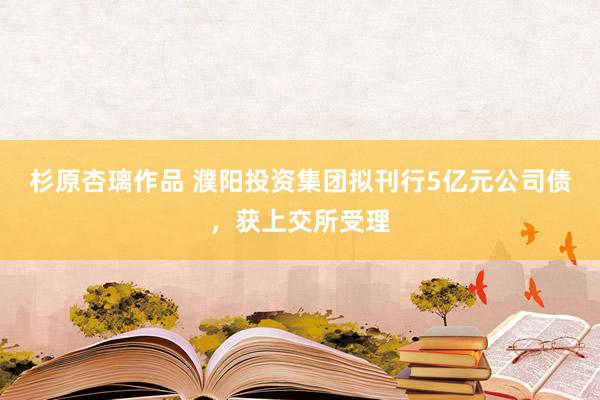 杉原杏璃作品 濮阳投资集团拟刊行5亿元公司债，获上交所受理